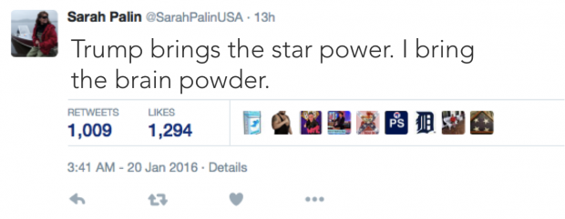 Palin twitter