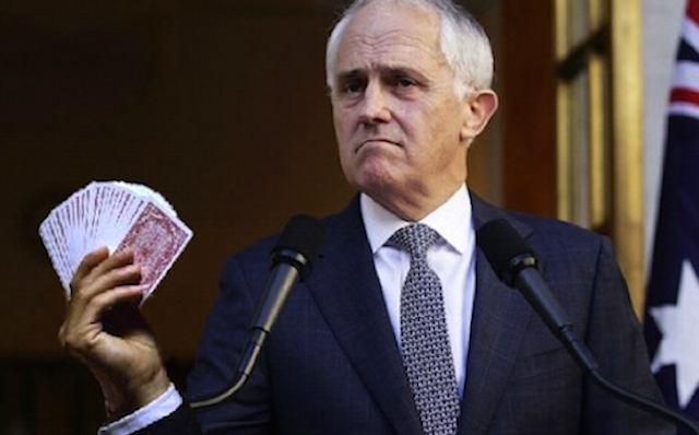 turnbull holding cards