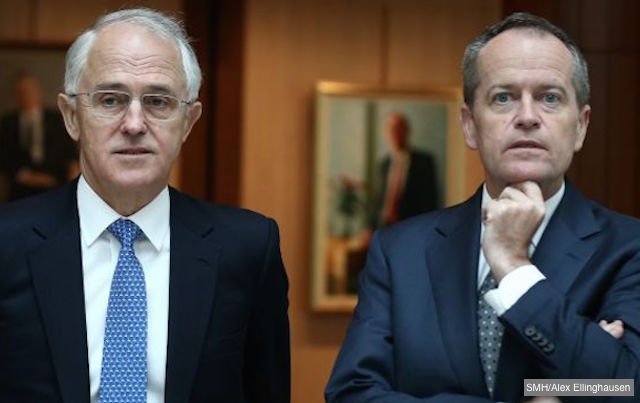 shorten and turnbull covfefe