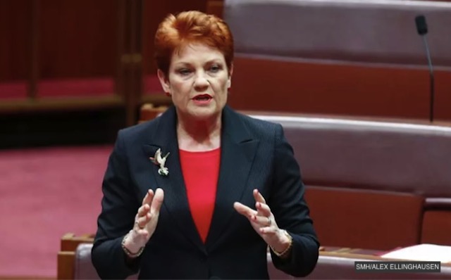Pauline hanson in parliament